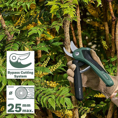 Meilleur Secateur Electrique