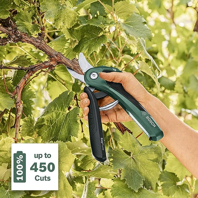 Secateur Electrique Vigne