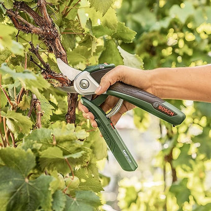 Secateur Electrique Sans Fil